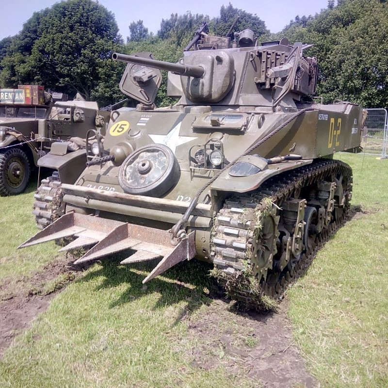 Other image for Armed Forces Day marches into town